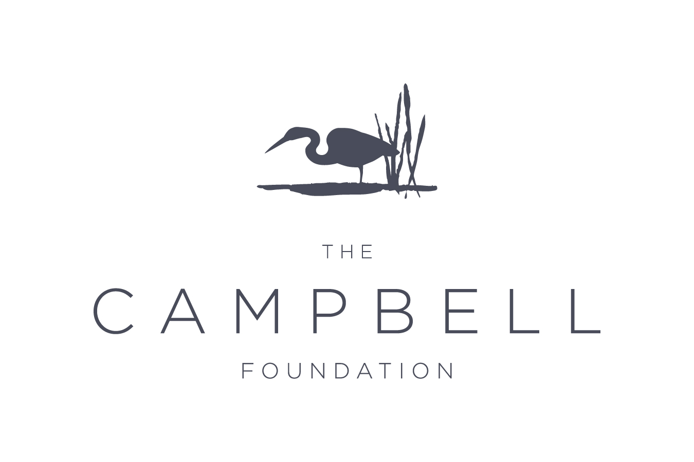 The Campbell Foundation