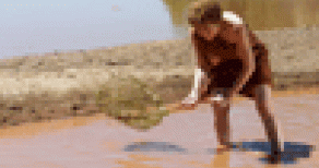 Warrior Woman